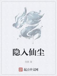 隐入是什么意思