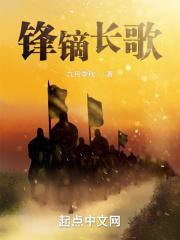 代宋之锋镝长歌大结局