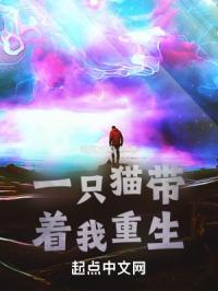 一只猫带着领带的头像