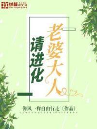 老婆大人请入怀txt