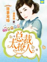 猎婚盛宠总裁请站好