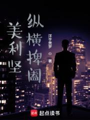 美利坚纵横捭阖笔趣阁