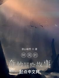 主角林风女儿妙可