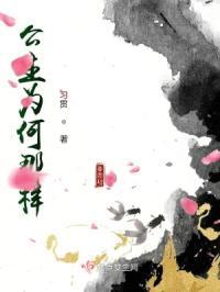 二殿下是谁的儿子