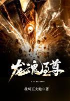 龙魂至尊 我叫王大炮