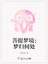 梦落菩提这个网名好吗