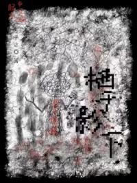 栖影是什么意思