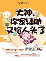 你家辅助又抢人头了txt