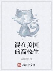 混在美国名校原型人物