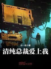 霸道总裁爱上清纯女孩