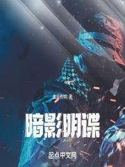 暗影谍云无弹窗