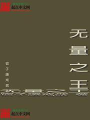 无量之网是谁写的