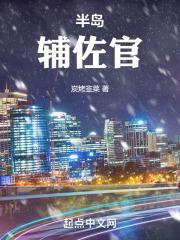 半岛辅佐官有几个女主角