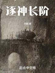 逐神长阶 十园