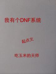 dnf系统类型的