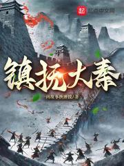 大秦镇守使百科