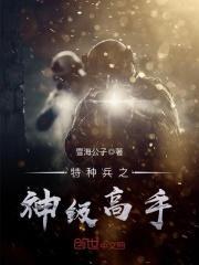 特种兵之神级高手云铮
