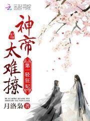 第一轻狂圣灵师全文免费阅读无弹窗