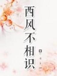 西风不相识杜小珀