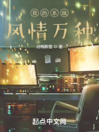 我的国风系统