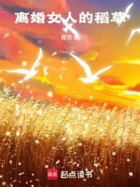 离婚女人的罪魁