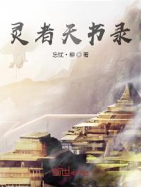 天书奇谈灵引符多少钱?