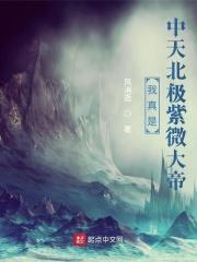 我真的是中央紫薇大帝