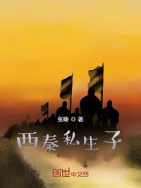 西秦王爷简介