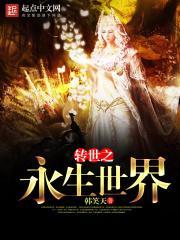 转世之门