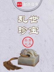 乱世珍宝TXT百度