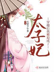 穿越后我被迫成了太子妃免费