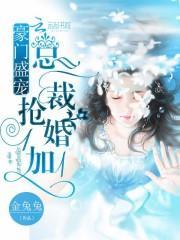 豪门盛宠总裁抢婚1加1