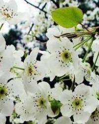 胜境是什么意思