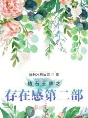 钻石王牌之gazer