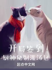 开局签到厨神系统