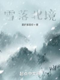 雪落北方阅读理解