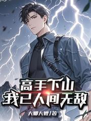 高手在人间下一句是什么