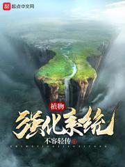 植物强化系统的作用