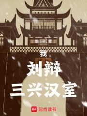 汉室中兴录刘辩传攻略