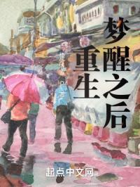 重生之梦醒依然