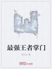 最强掌门游戏攻略