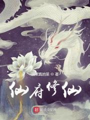 仙府修仙幸运的猫