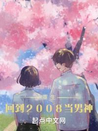 重生回2008年的穿越