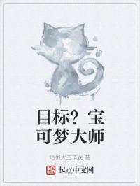 目标宝可梦大师歌词