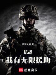 抗战我有无限援助 第238章