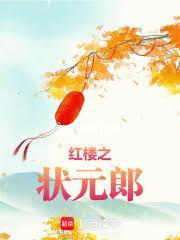 穿越红楼之状元