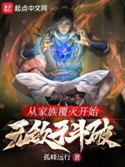 斗破苍穹之药尘传