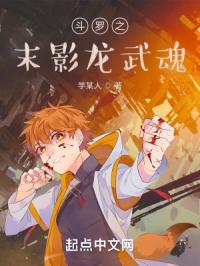 斗罗之末影龙武魂 不命人