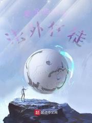 我在纽约做法外狂徒全文免费