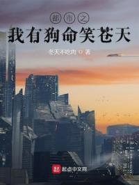 都市之我有无数老婆